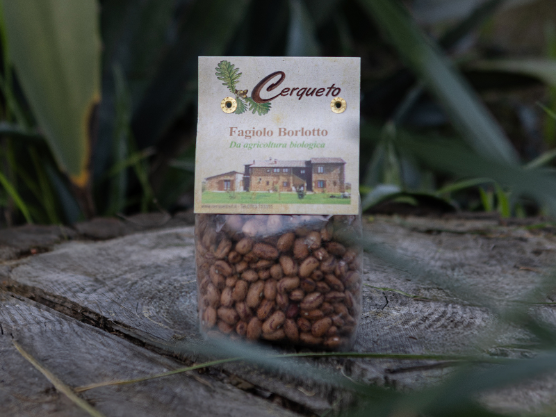 z_fagioli-borlotti.jpg