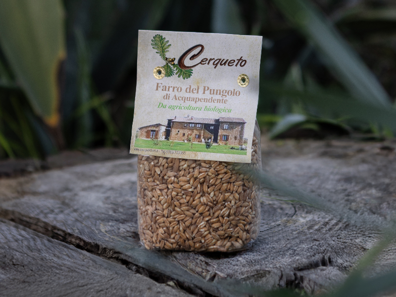 z-farro-pungolo.jpg